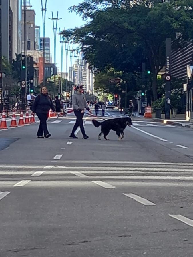 Hostel Trilhas E Rotas - A 150M Da Avenida Paulista São Paulo Buitenkant foto